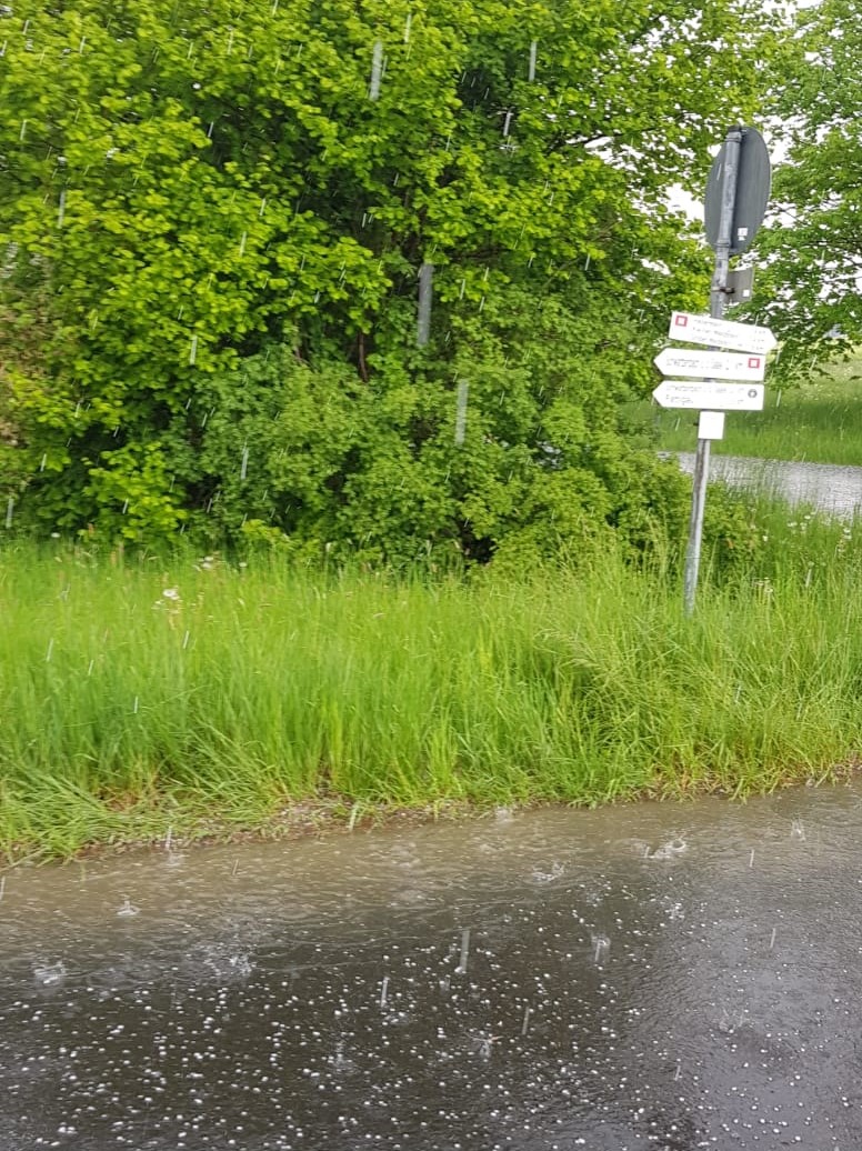 Begegnungsfahrt Mai 2019
