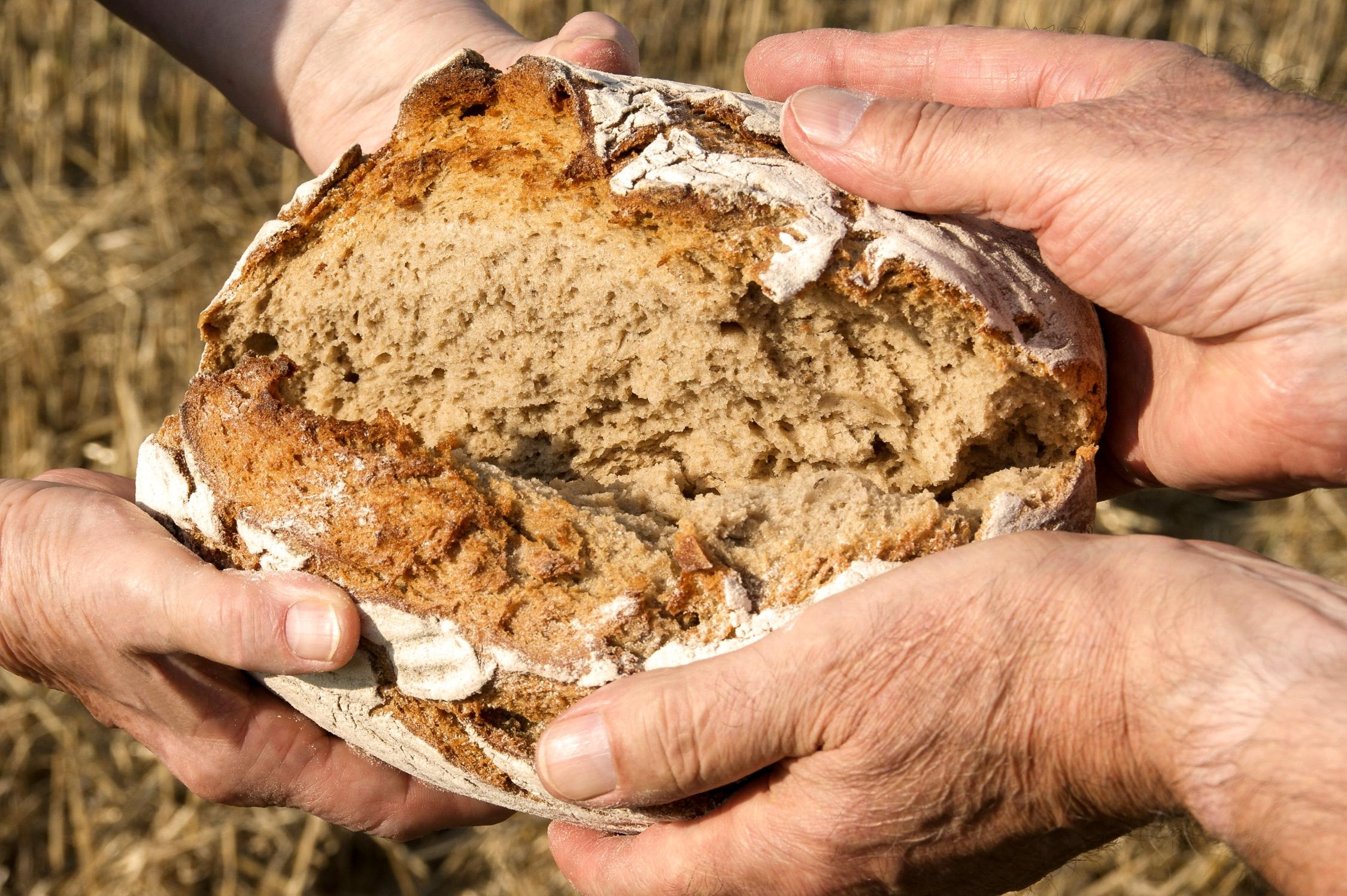 Brot