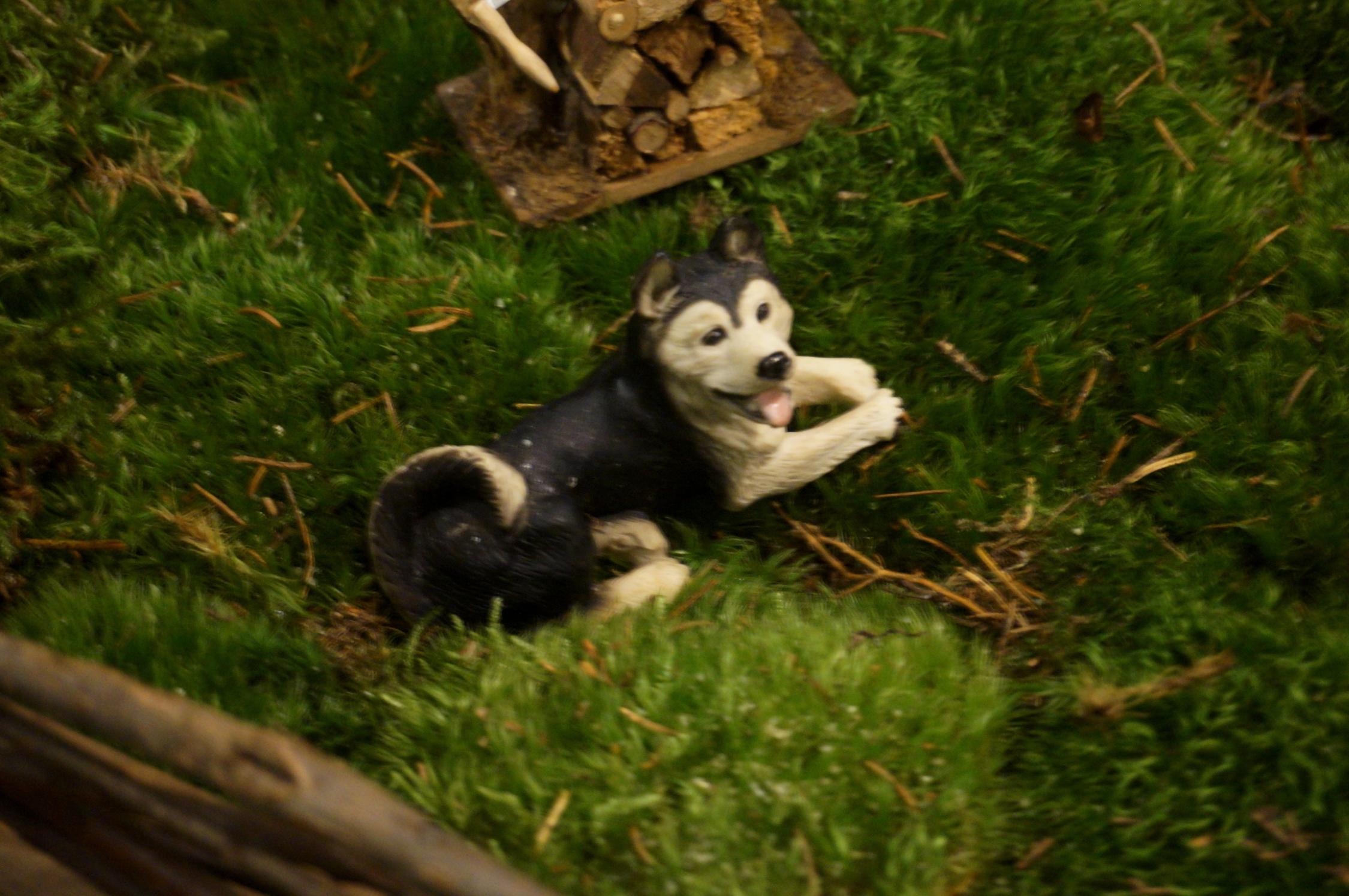 dsc03105-jpg