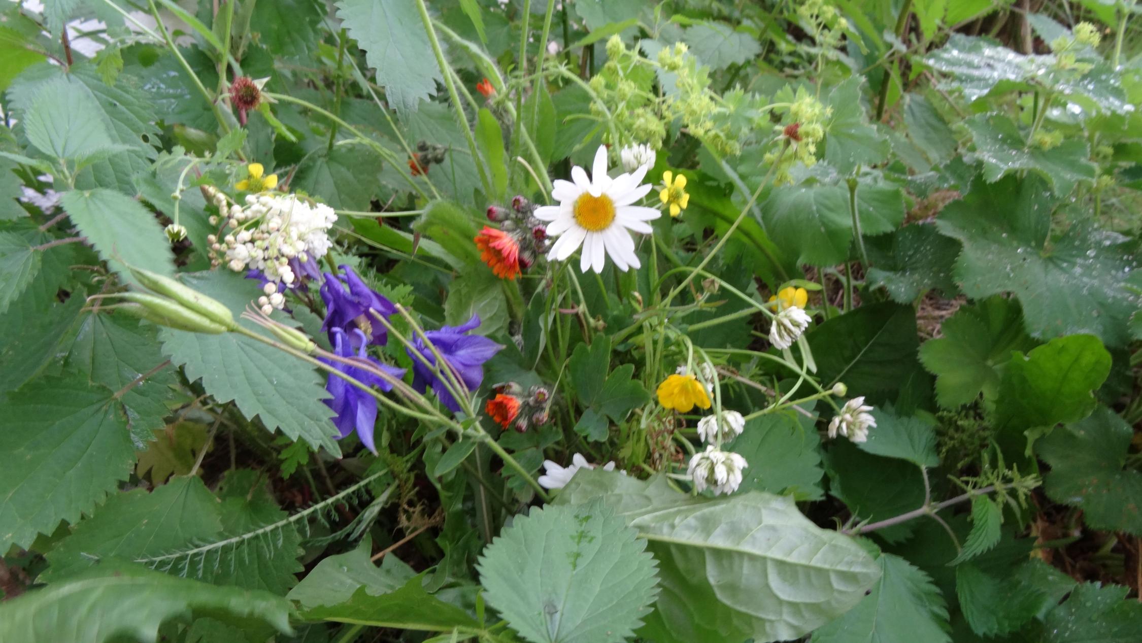 Gartenandacht