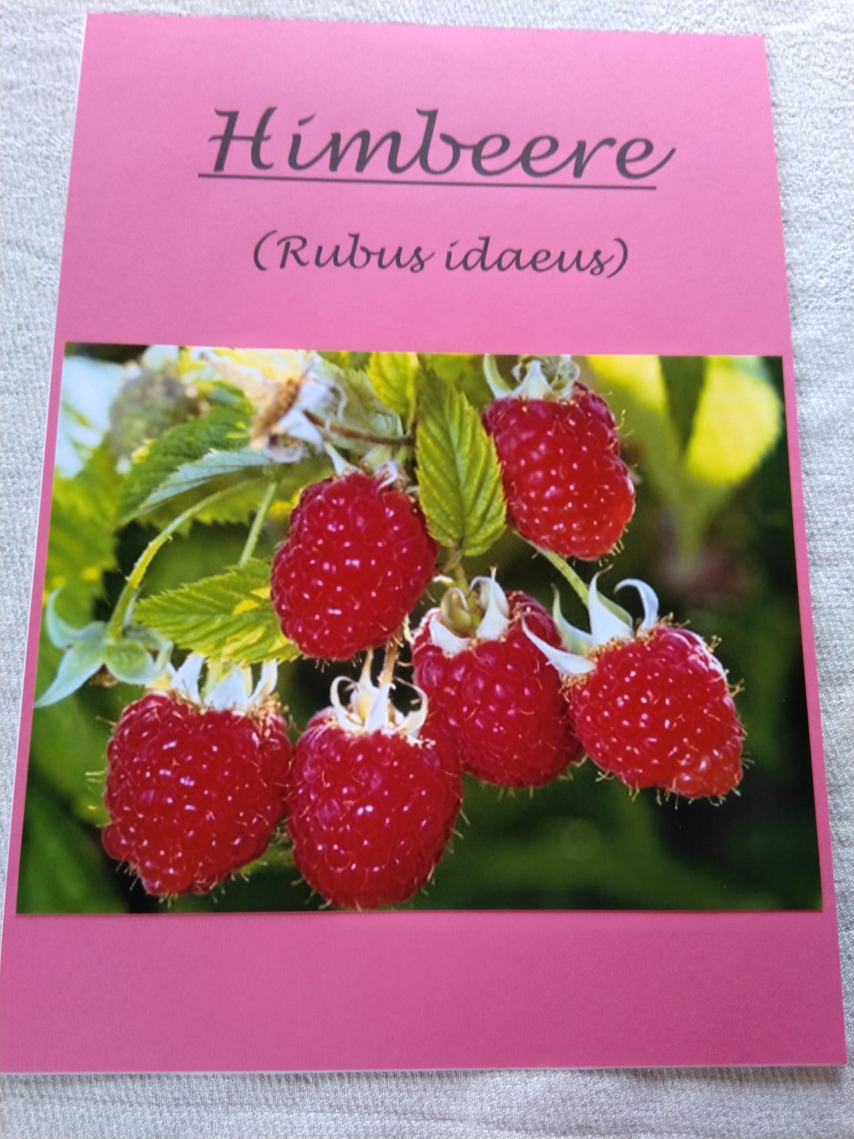 Gartenandacht 2019
