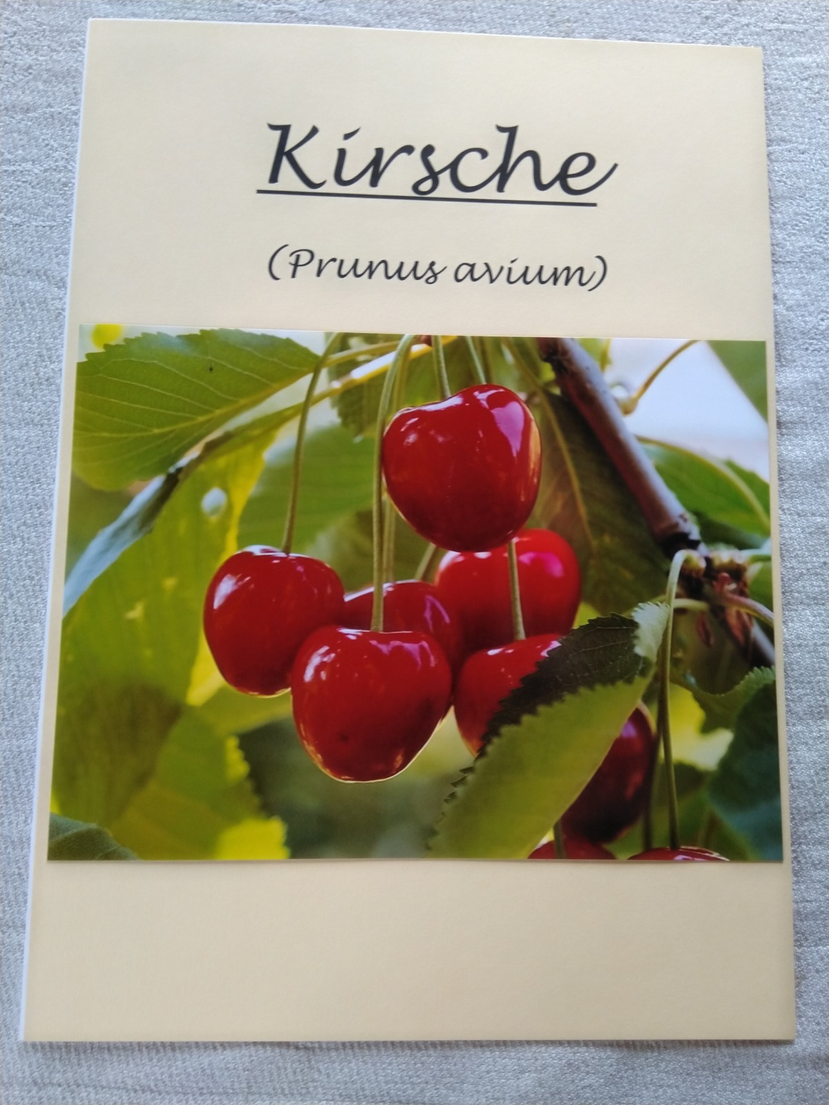 Gartenandacht 2019