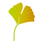 Logo Ethikberatung