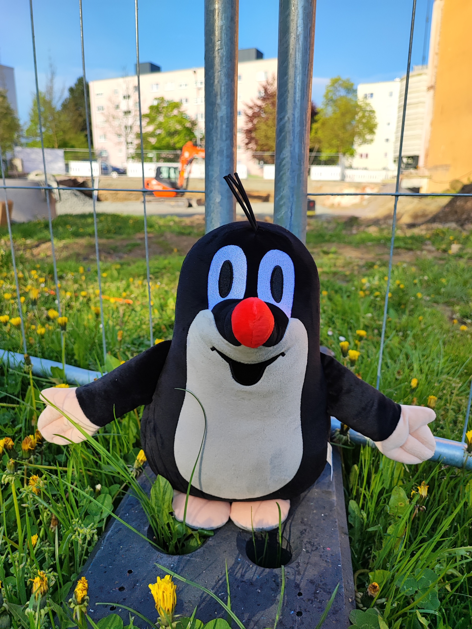 Maulwurf Willi