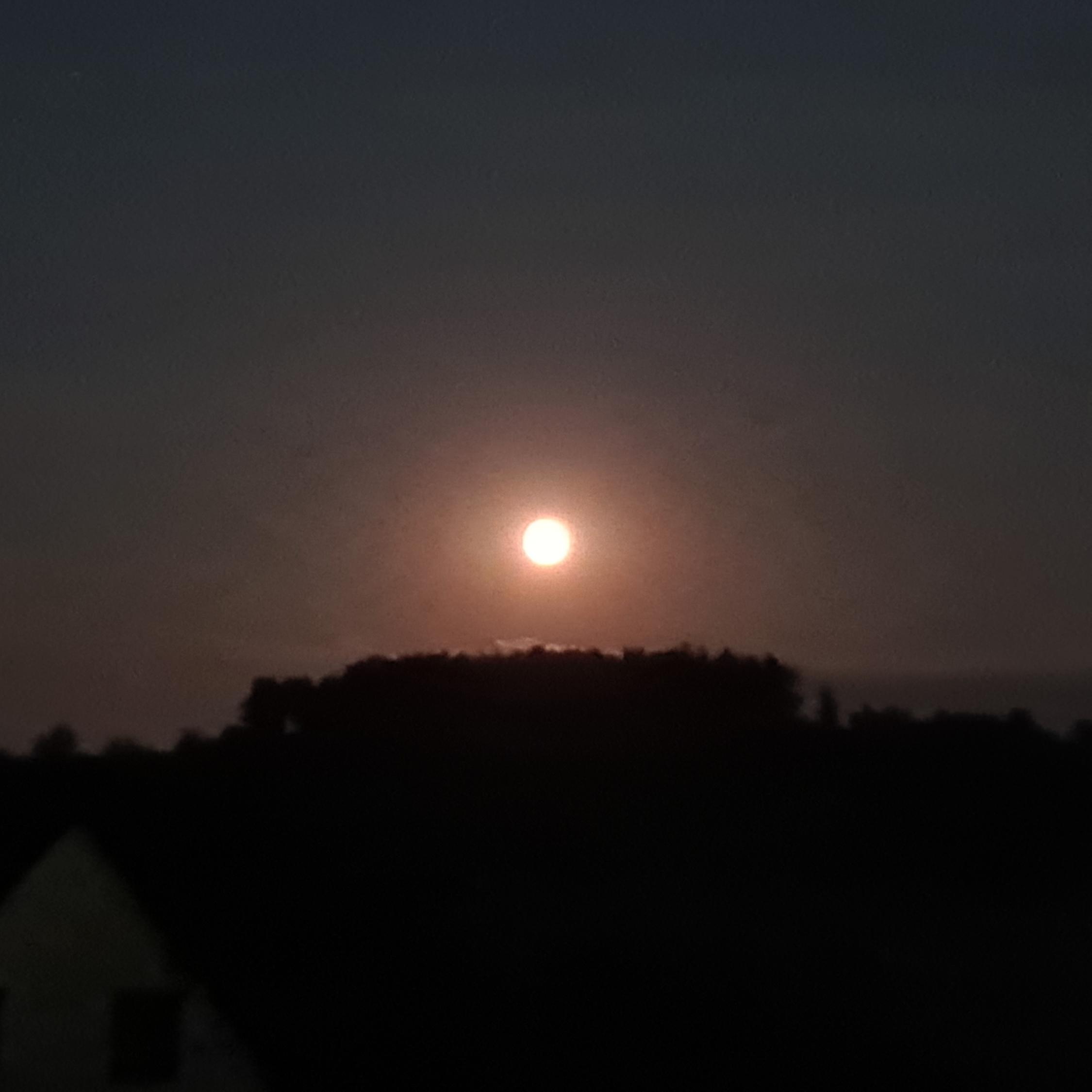 Mond