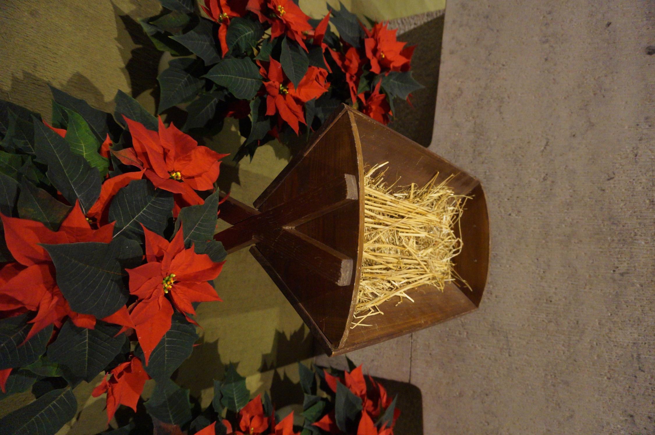 dsc03107-jpg