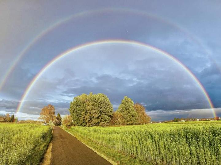 Regenbogen