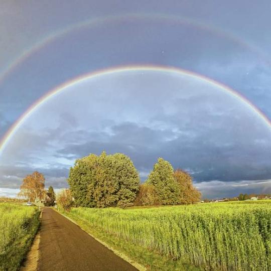 Regenbogen
