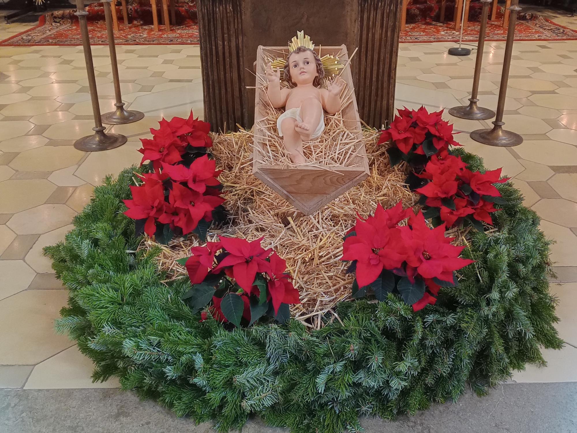 Weihnachtsstern