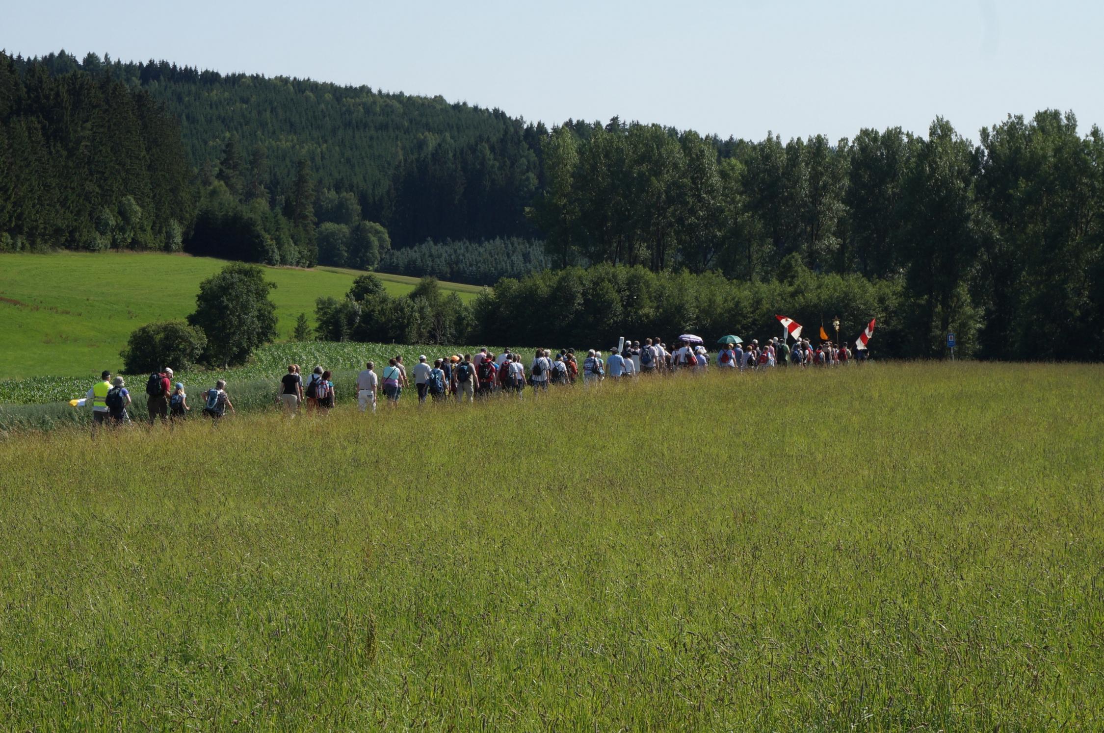 hofer wallfahrt