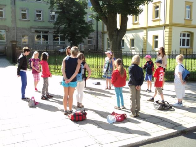 plauen minis